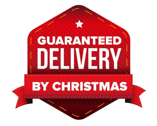 Christmas Delivery